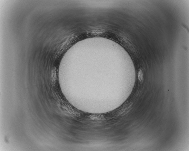 X0000099291299200805301103