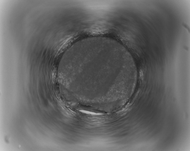 X0000099291300200805301103