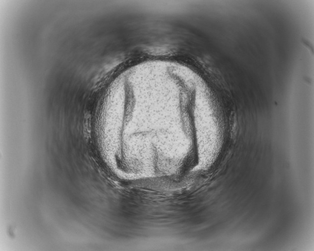 X0000099291301200805301103