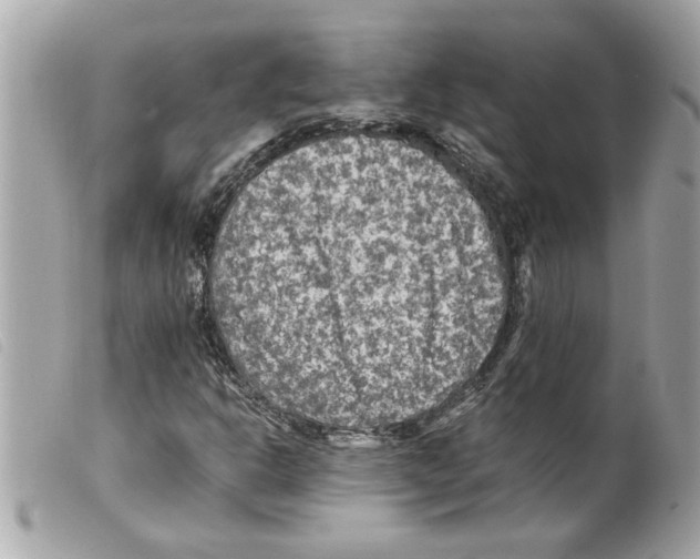 X0000099291302200805301103
