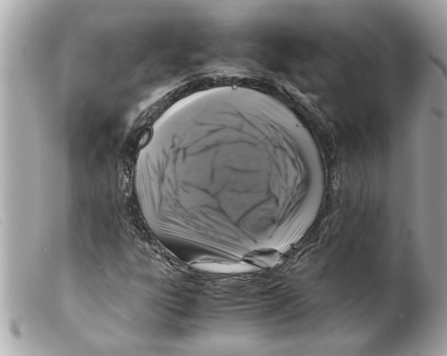 X0000099291303200805301103