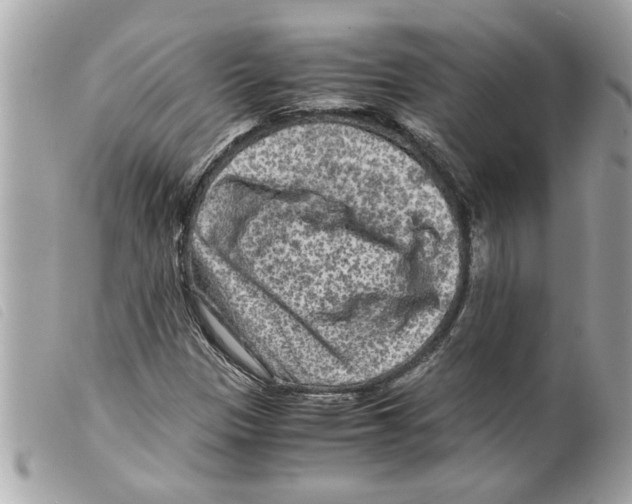 X0000099291305200805301103