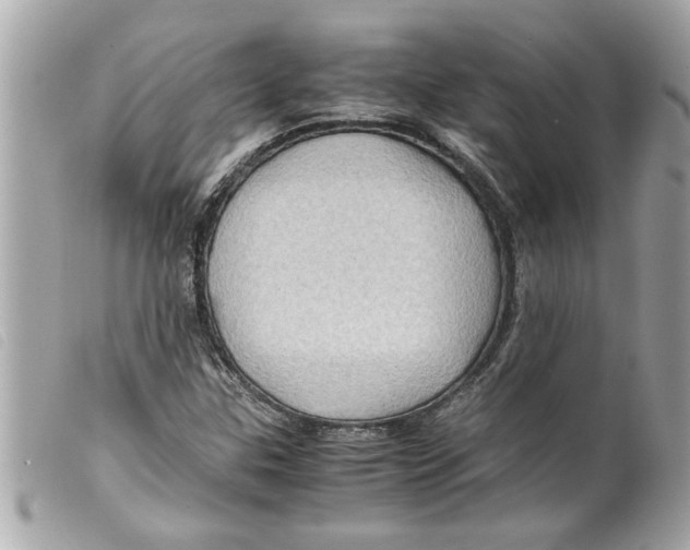 X0000099291307200805301103