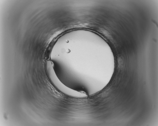 X0000099291308200805301103