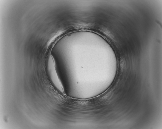 X0000099291309200805301103