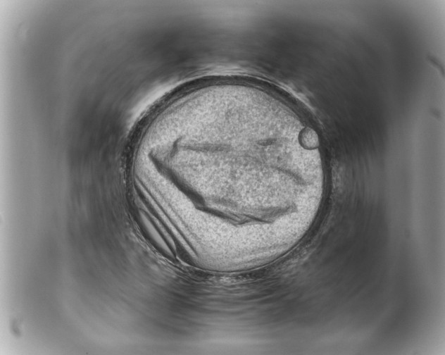 X0000099291311200805301103