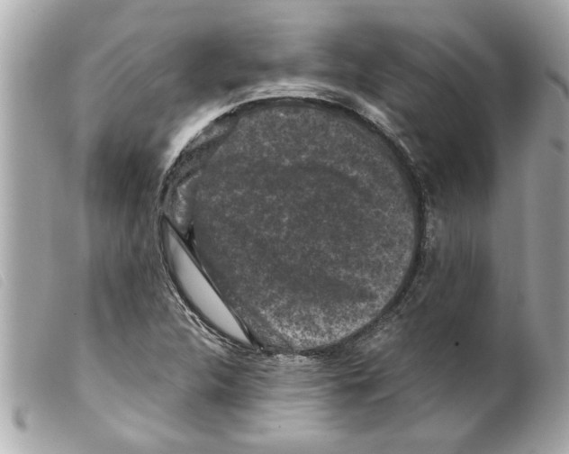 X0000099291312200805301103