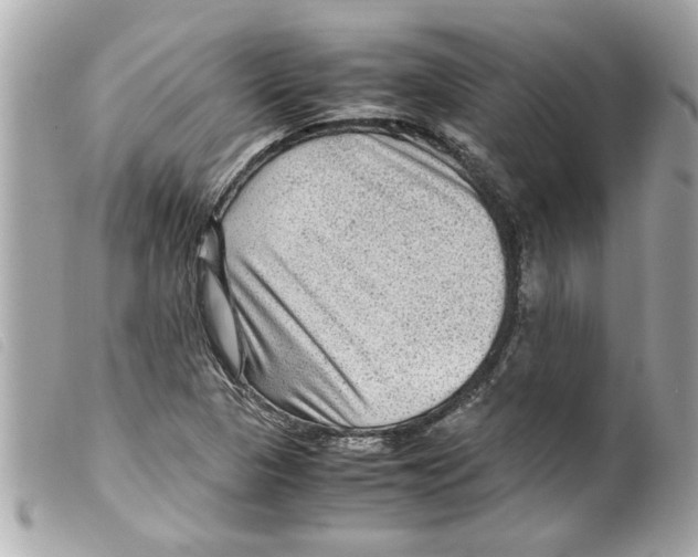 X0000099291313200805301103