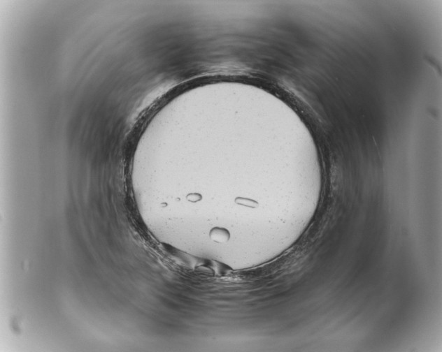 X0000099291315200805301103
