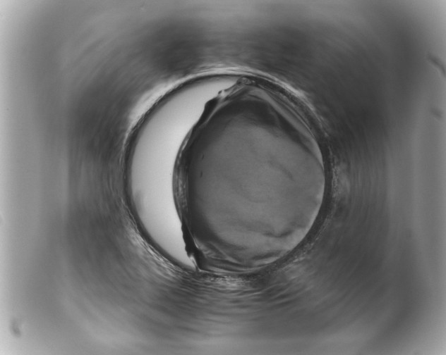 X0000099291319200805301103