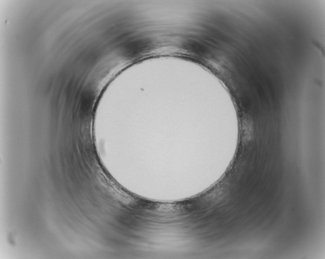 X0000099291322200805301103
