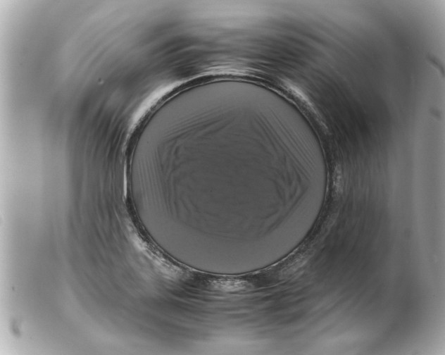 X0000099291323200805301103