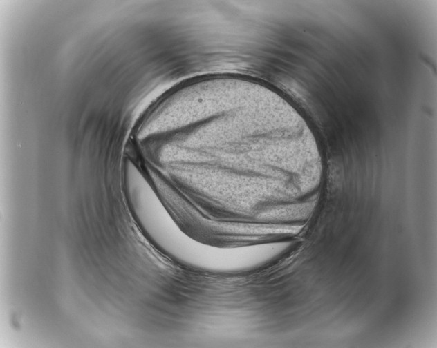X0000099291324200805301103