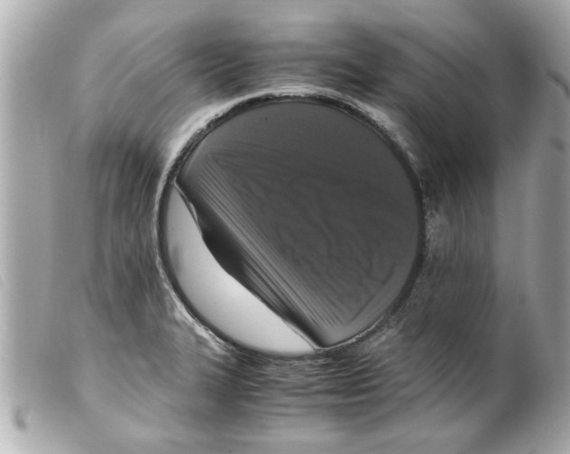 X0000099291327200805301103