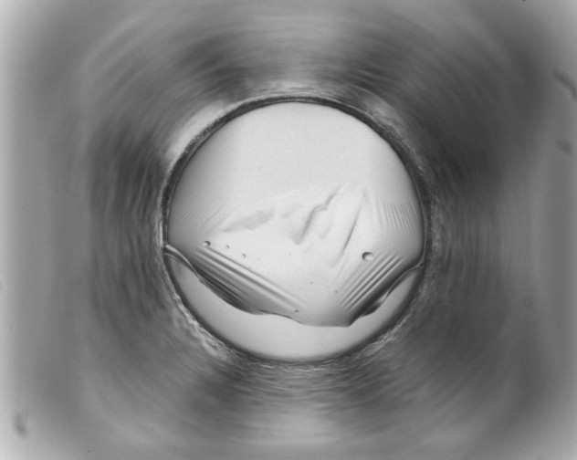X0000099291328200805301103