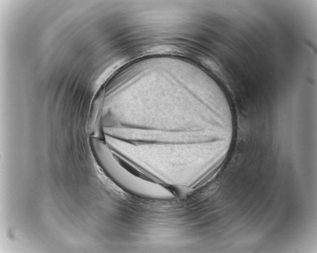 X0000099291330200805301103