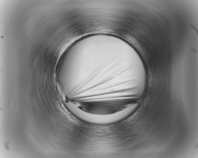 X0000099291332200805301103