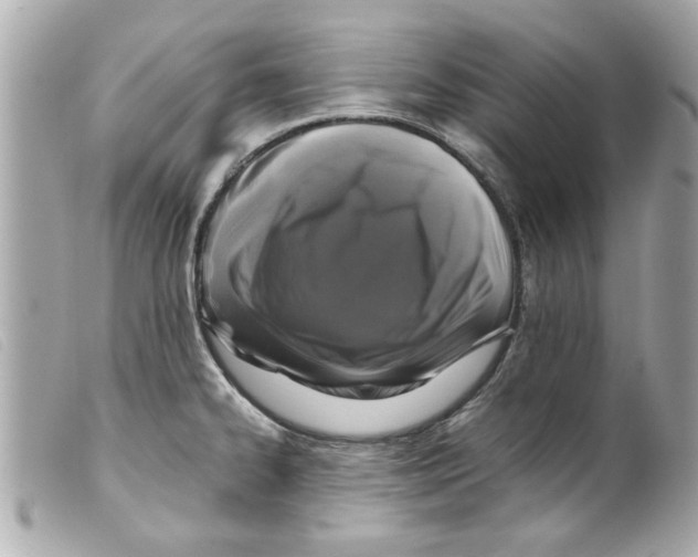 X0000099291334200805301103