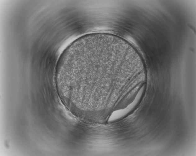 X0000099291336200805301103