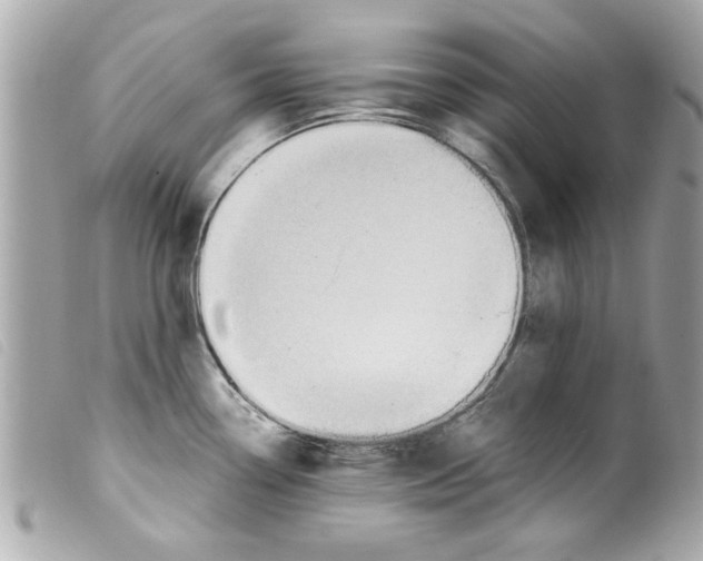 X0000099291338200805301103