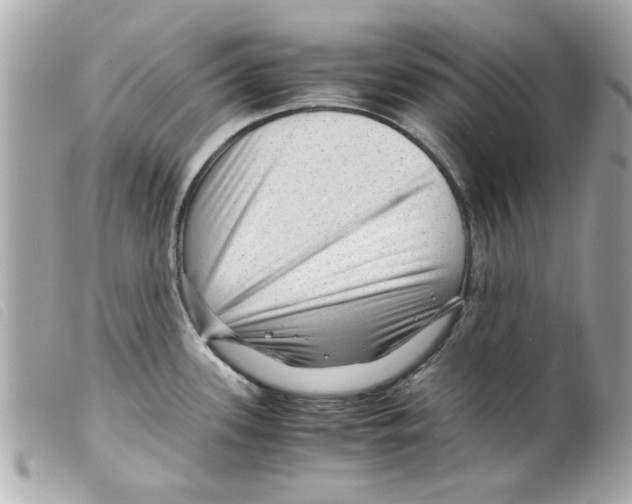 X0000099291339200805301103