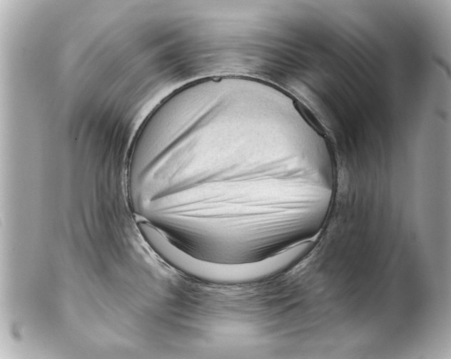 X0000099291340200805301103