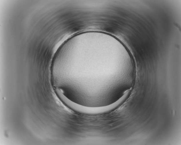 X0000099291341200805301103