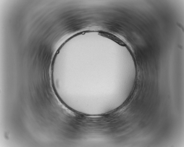 X0000099291343200805301103