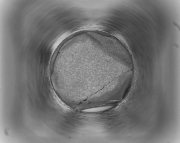 X0000099291344200805301103