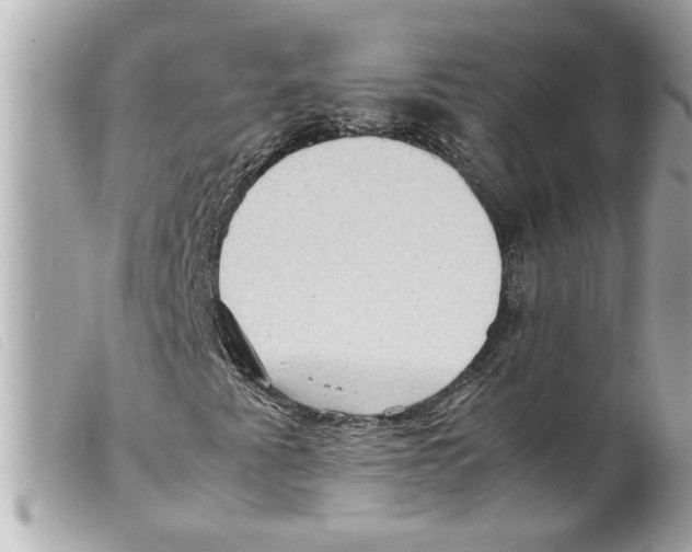 X0000099291345200805301103