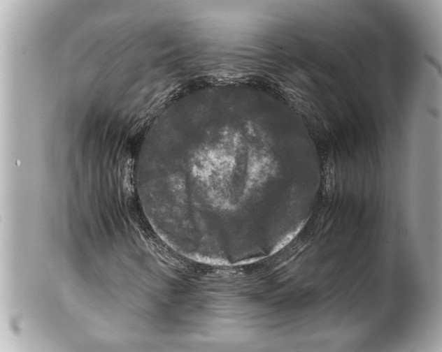 X0000099291346200805301103