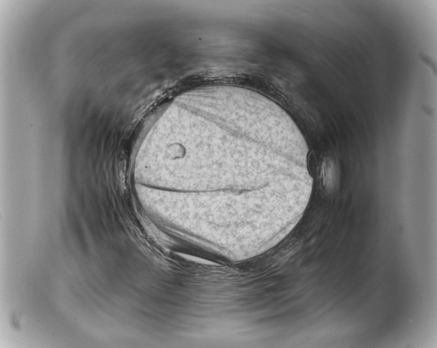 X0000099291348200805301103