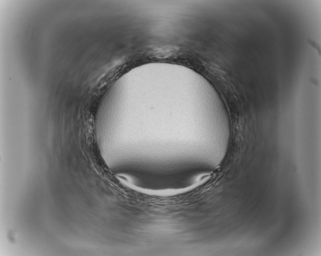 X0000099291349200805301103