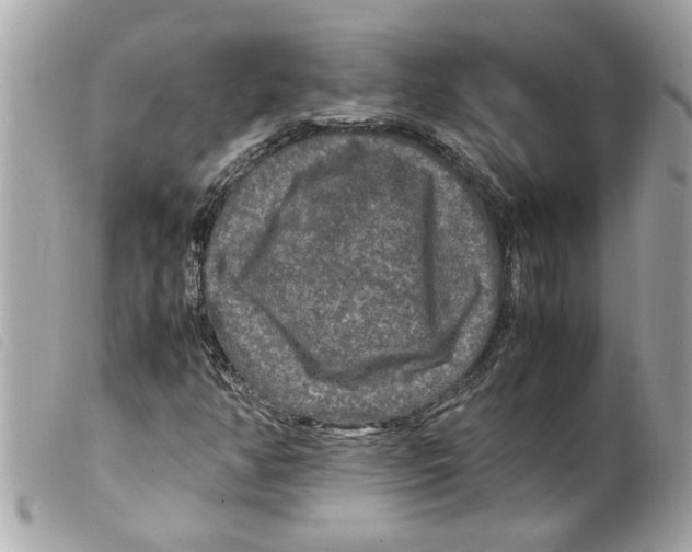 X0000099291350200805301103