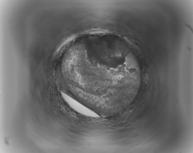 X0000099291351200805301103
