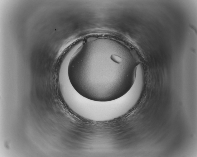 X0000099291352200805301102