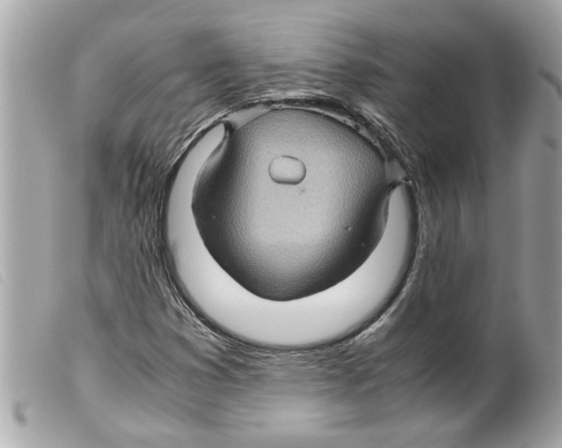 X0000099291353200805301102