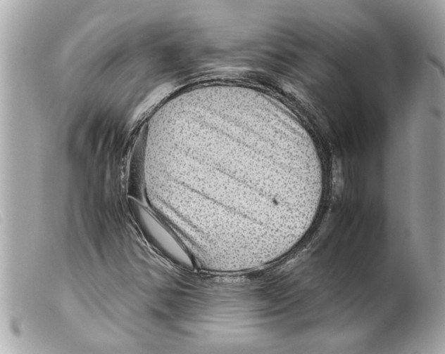 X0000099291354200805301102