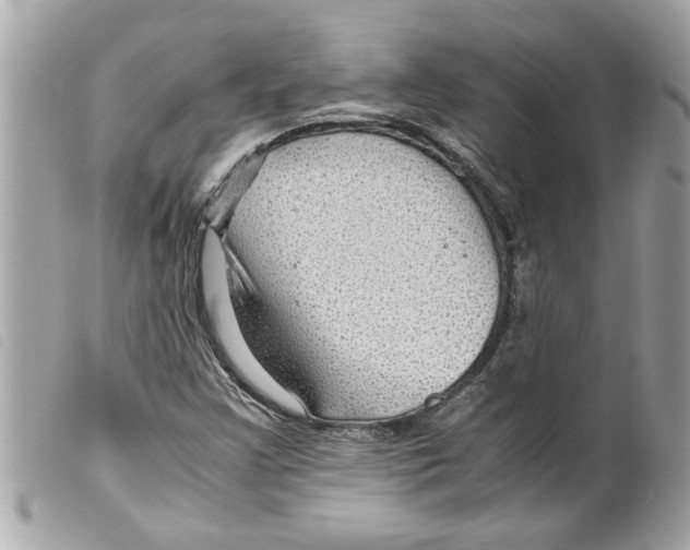 X0000099291355200805301102