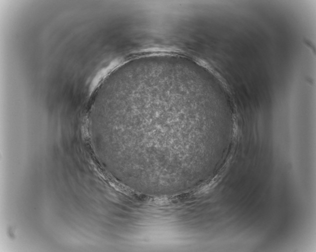 X0000099291357200805301102