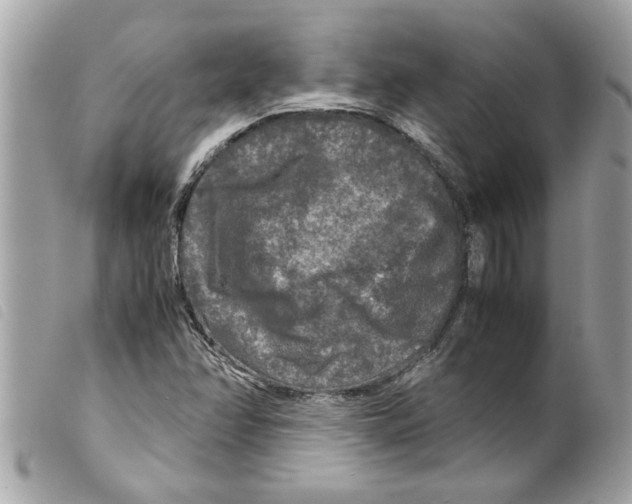 X0000099291358200805301102