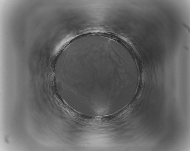 X0000099291359200805301102
