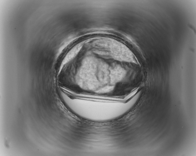 X0000099291360200805301102