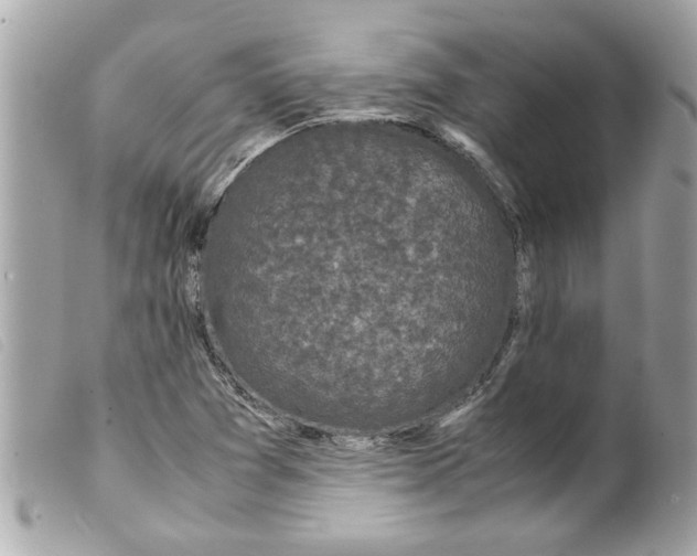 X0000099291361200805301102