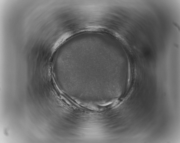X0000099291362200805301102