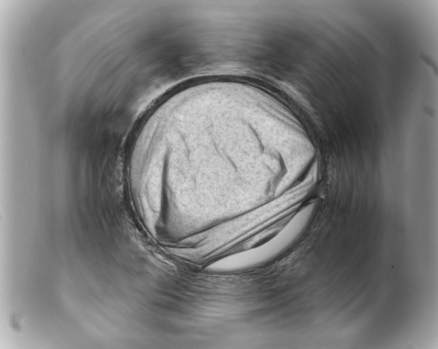 X0000099291364200805301102