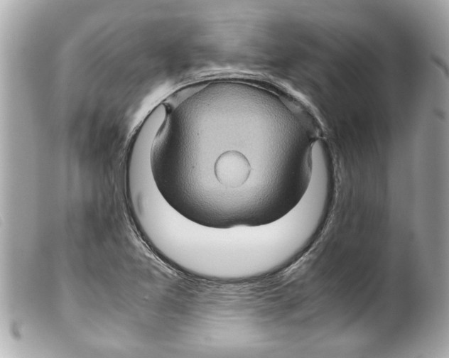 X0000099291365200805301102