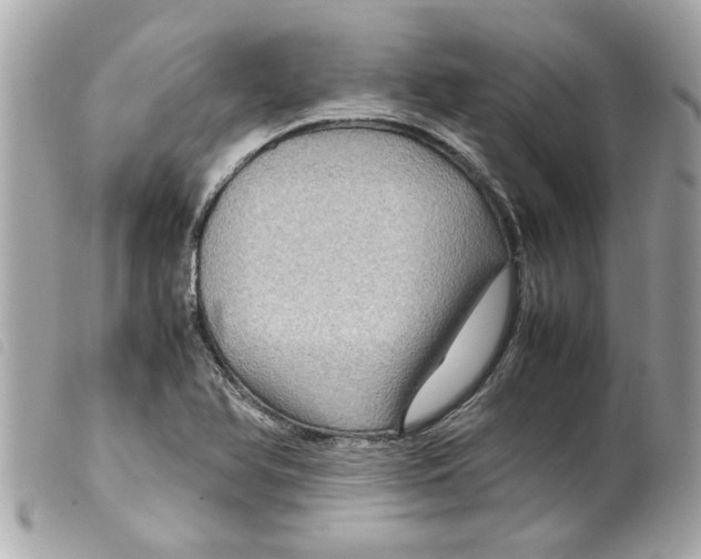 X0000099291366200805301102