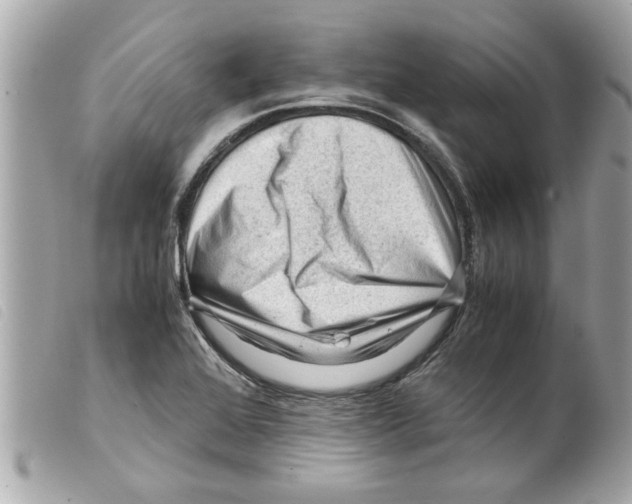 X0000099291368200805301102