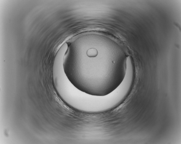 X0000099291369200805301102